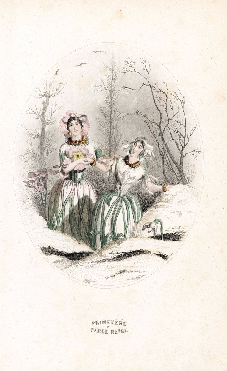 雪景中的费穿透积雪和primevere--Charles Geoffroy（1819-1882 年）根据 Jean Ignace Isidore Gerard dit J.J.J.Granville（1803-1847 年）为 Les fleurs animees 创作的插图绘制的 Eau forte 作者 未知艺术家