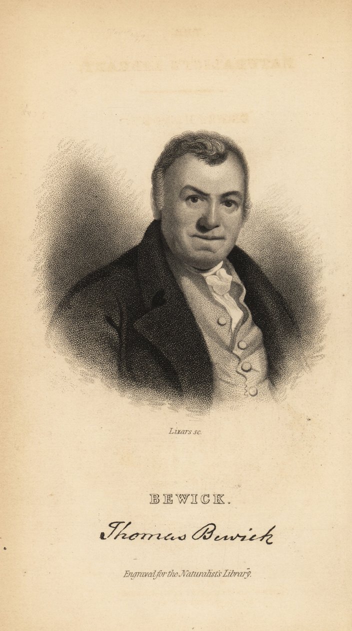 Thomas Bewick，英国雕刻家和自然历史作家 作者 不明