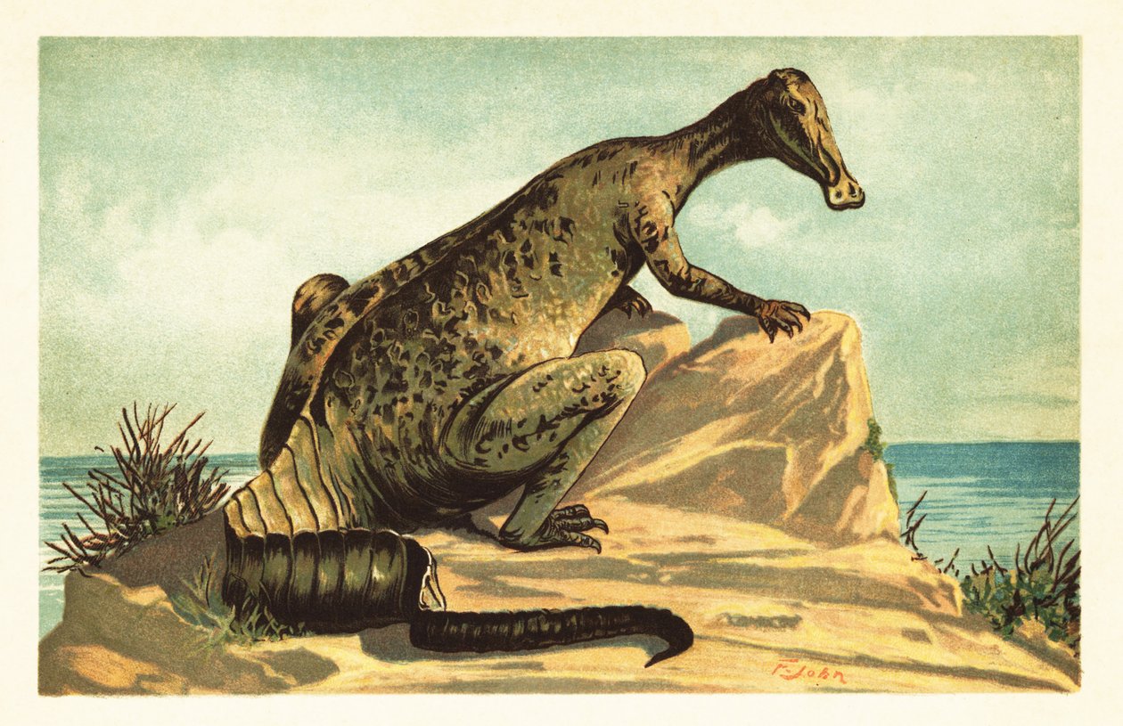 Trachodon mirabilis，已灭绝的鸭嘴龙恐龙。1908 年（石版画） 作者 未知艺术家
