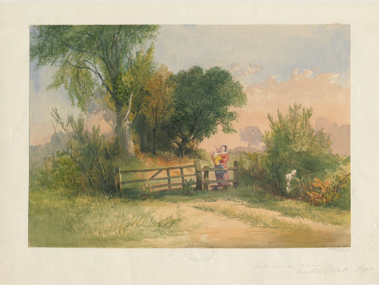 Trentham-Park Lane：水彩画，nd [？19th cent] 作者 不明