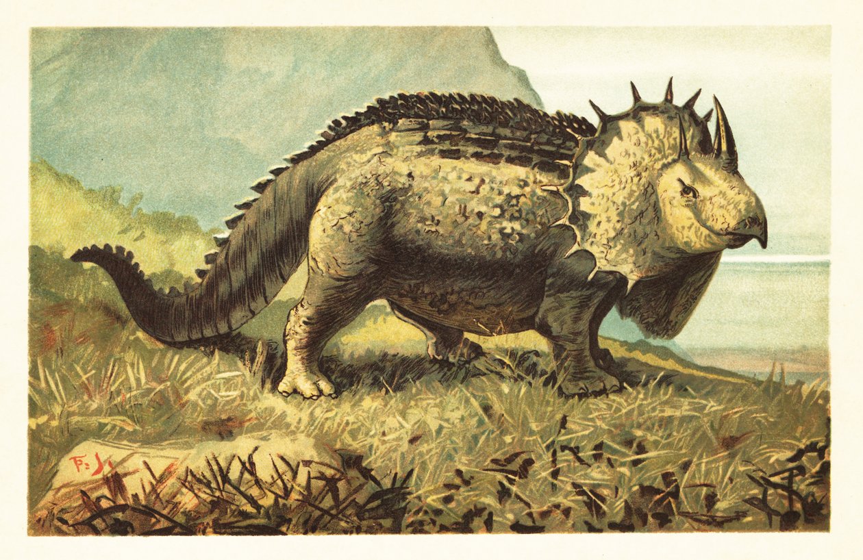 三角龙，已灭绝的食草恐龙.1908（石版画） 作者 未知艺术家