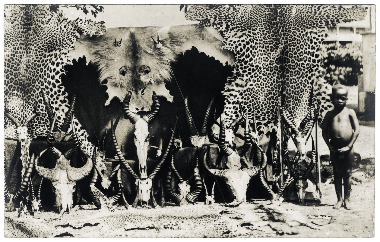 奖杯，c.1910（黑白照片） 作者 未知艺术家