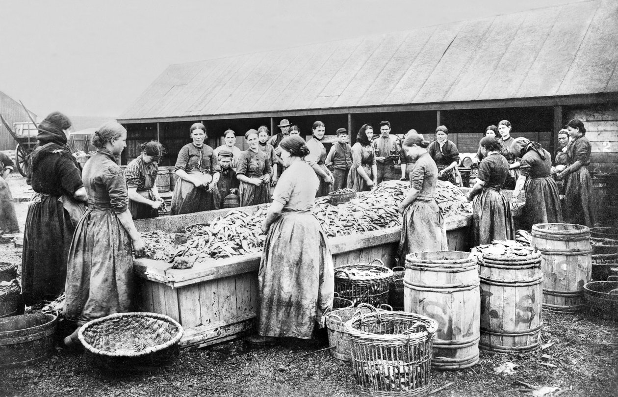 联合王国：妇女开膛破肚。阿伯丁，约1880年 作者 不明