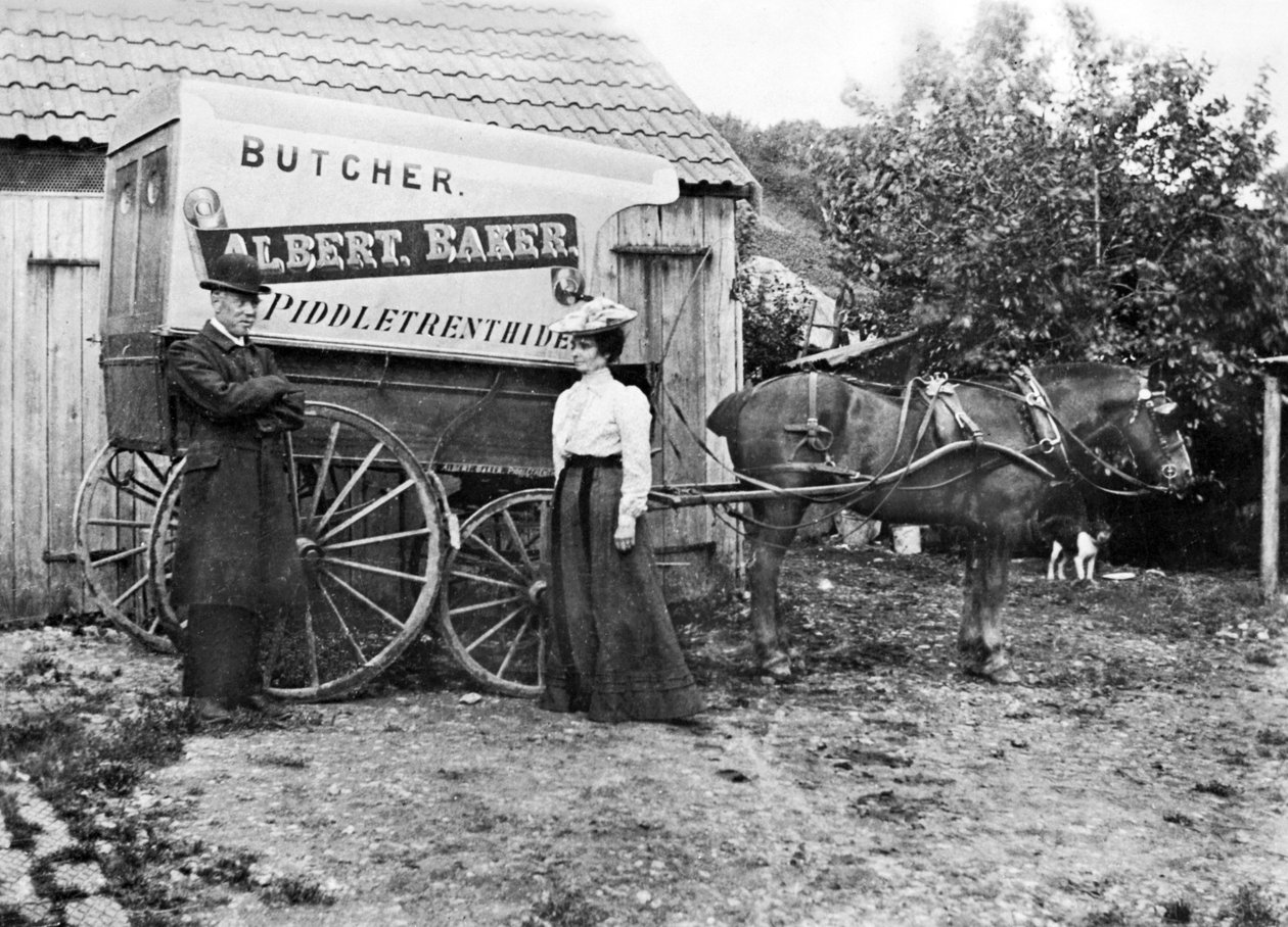 英国：屠夫的推车。 Piddletrendide，c1900 作者 不明