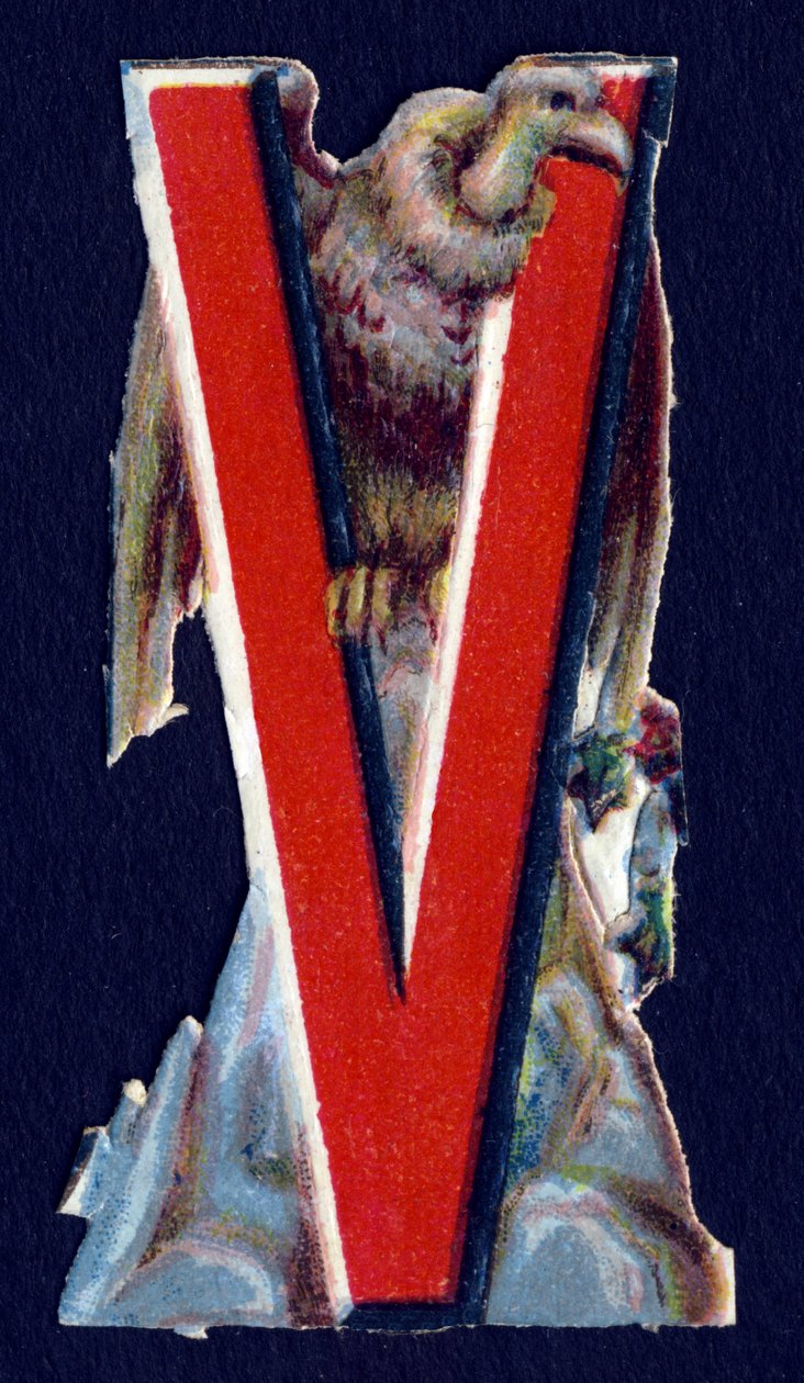 V 作为秃鹫。 以动物为主题的甲虫 decoupis。 雕刻。 来自英国的 26 幅华夫饼彩色石版画系列。 编辑和插画师不详。 19 世纪末。 尺寸：5,5x3,5cm 作者 不明