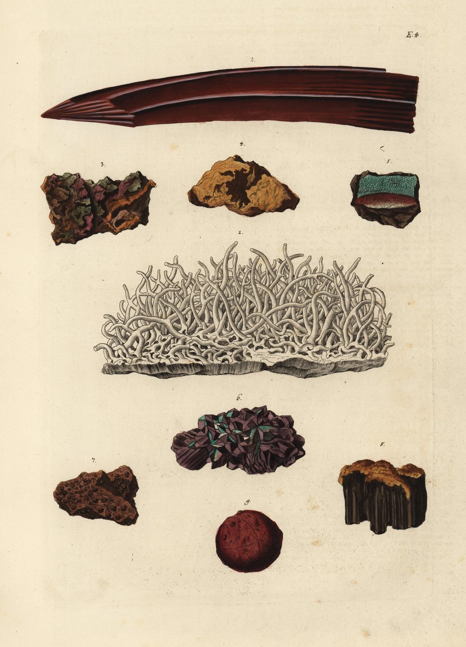 铁矿石的种类根据 Georg Wolfgang Knorr 的《Deliciae Naturae Selectae of Kabinet van Zeldzaamheden der Natuur》插图绘制的手工彩色铜版画，布鲁斯父子出版社，纽伦堡 作者 未知艺术家