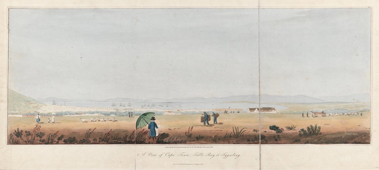 开普敦、桌湾和泰格贝格山（南非）景观。石版画（26.5x53.5 厘米），J.W. Burchell 绘 作者 未知艺术家