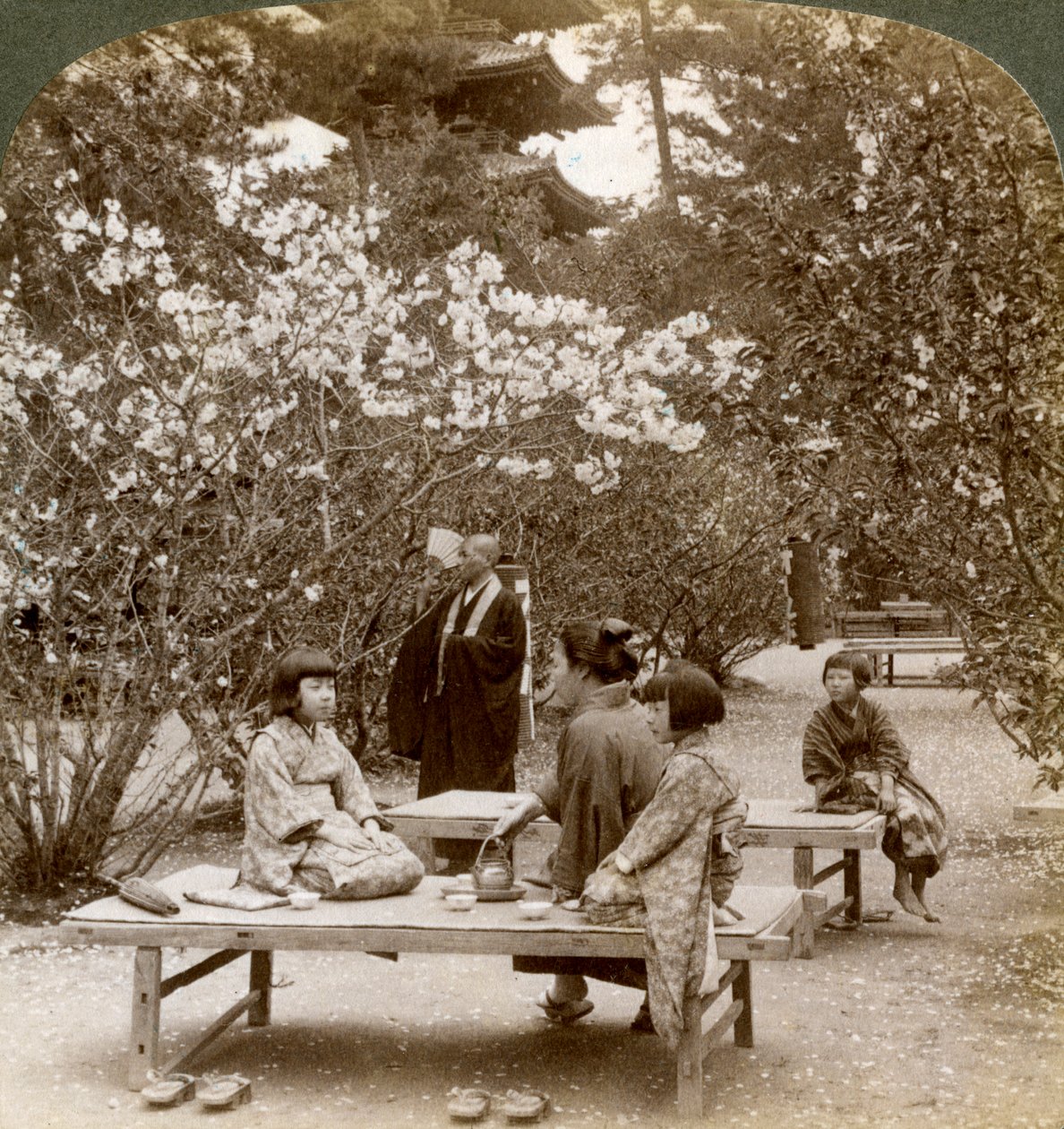 1904年，日本京都大室御所，一家人在樱花下享受野餐。 作者 安德伍德和安德伍德