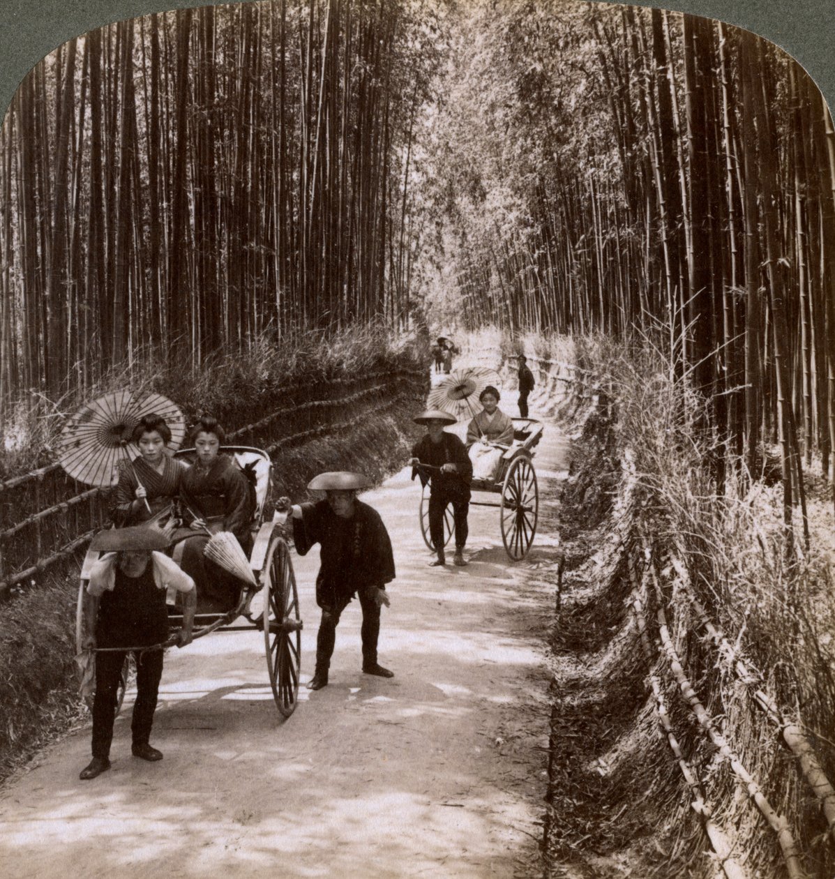 1904年，日本京都清水附近，向西南望去的竹林大道 作者 安德伍德和安德伍德