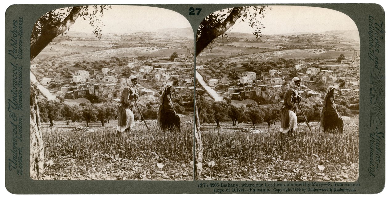 伯大尼（Bethany），从巴勒斯坦橄榄山的东坡看到，1899年。 作者 安德伍德和安德伍德