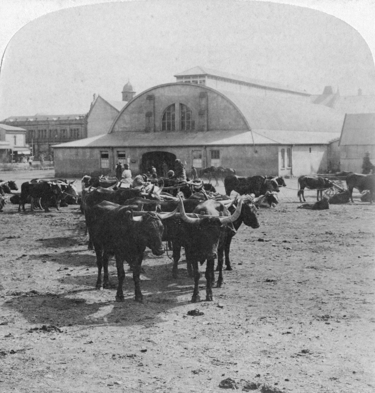 审判战俘的建筑物，南非比勒陀利亚，布尔战争，1901年 作者 安德伍德和安德伍德