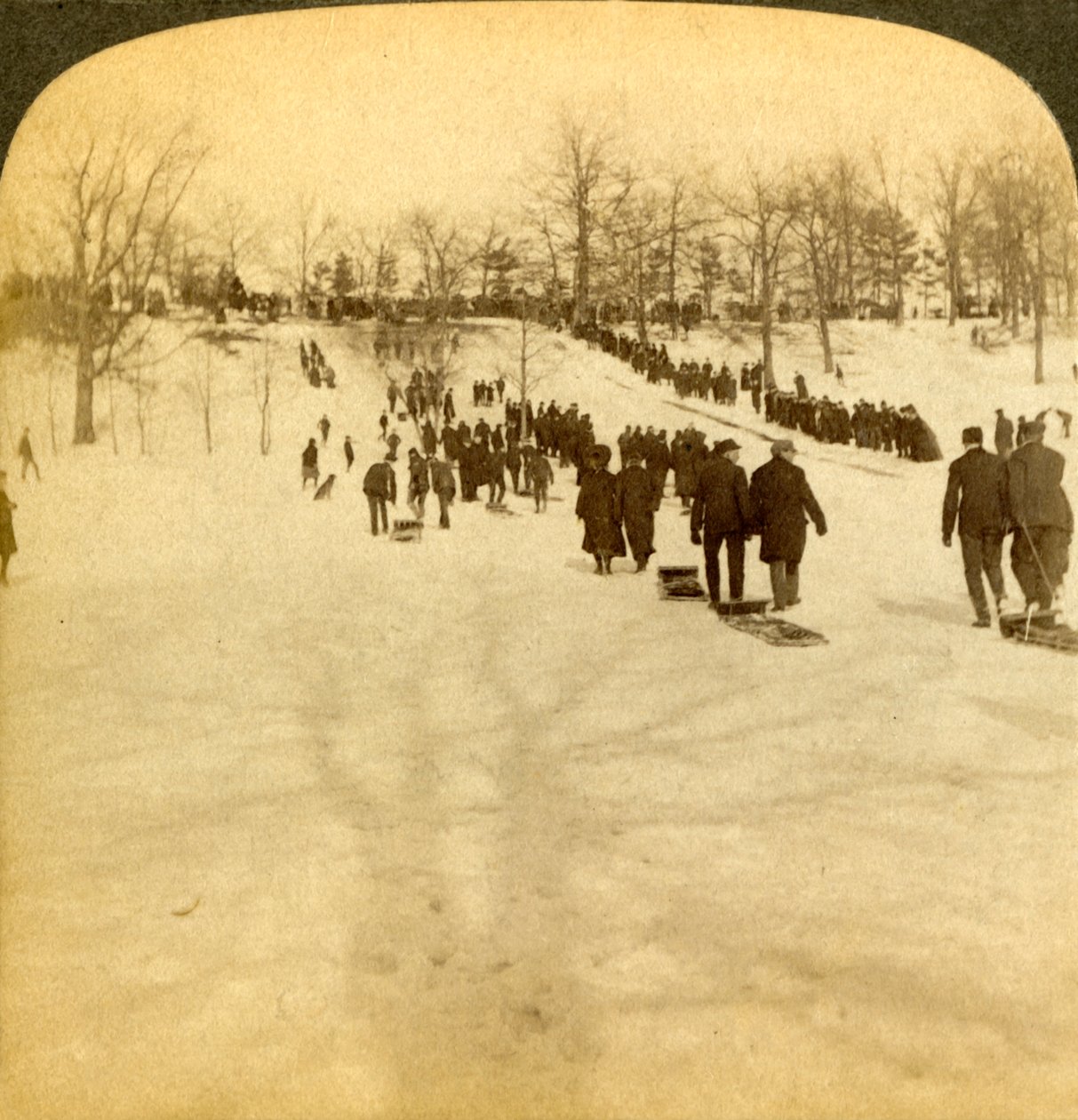 加拿大冬季运动-雪橇运动，1905年。 作者 安德伍德和安德伍德