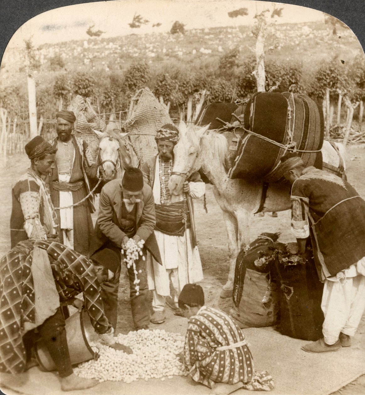 1900年代，专家购买了蚕茧，并出口到法国安提阿，叙利亚。 作者 安德伍德和安德伍德