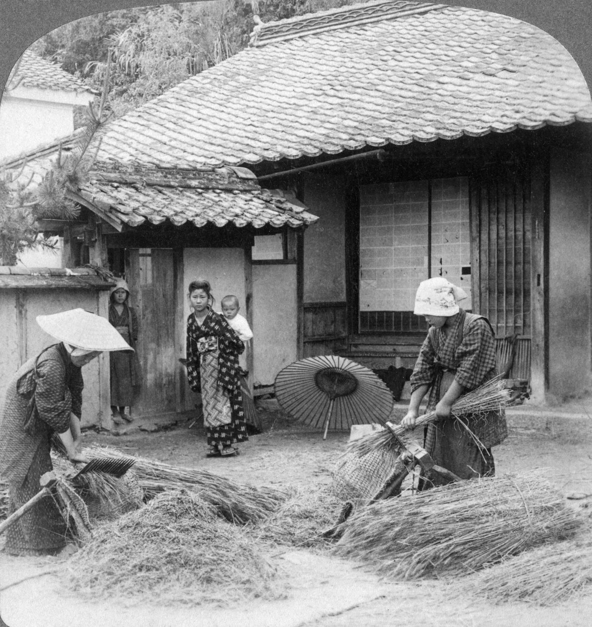 1904年，日本岩国，农民在工作。 作者 安德伍德和安德伍德