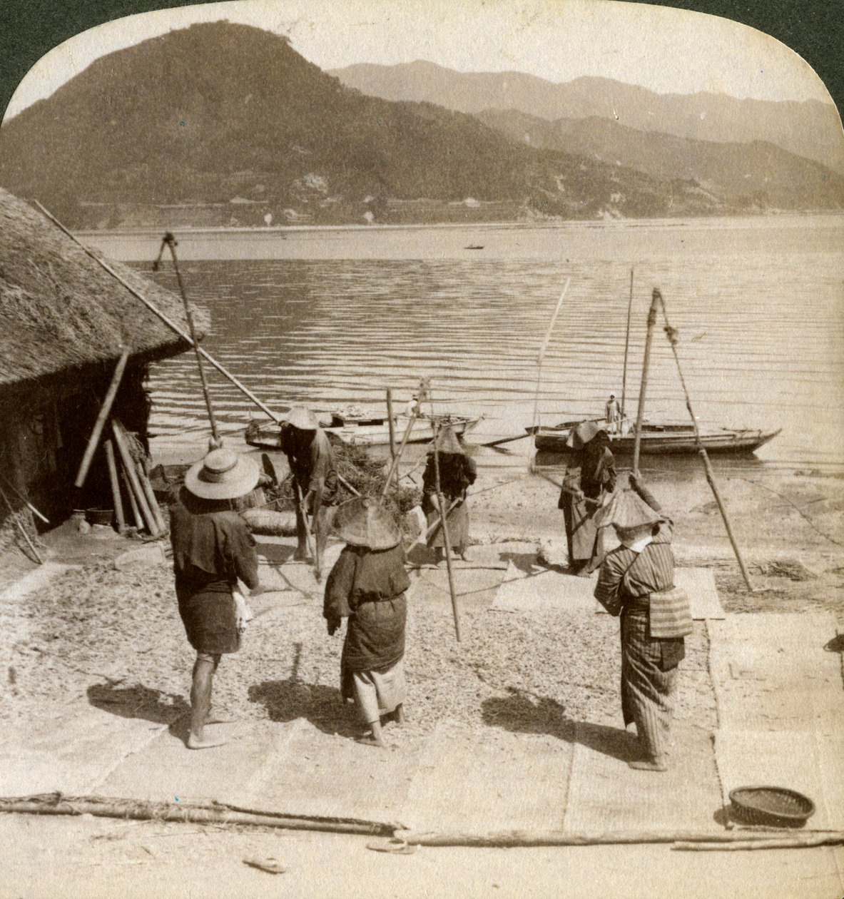 1904年，在日本内陆海域的渔滩旁挥舞着大麦。 作者 安德伍德和安德伍德