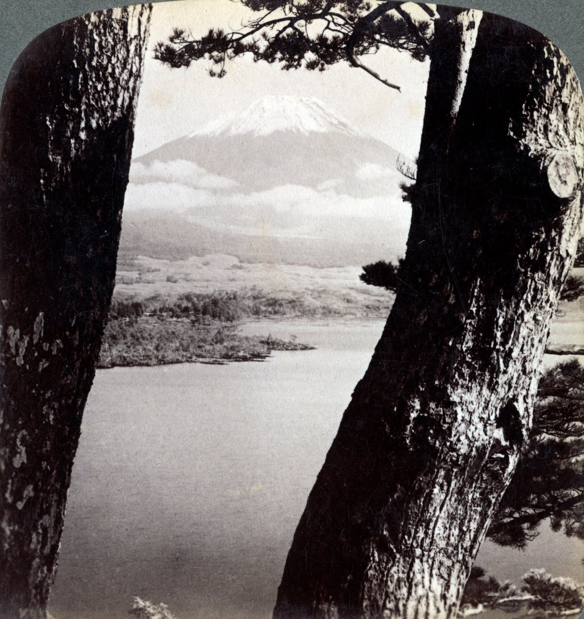 从西北面看，富士山穿过日本本栖湖的松树，1904年 作者 安德伍德和安德伍德