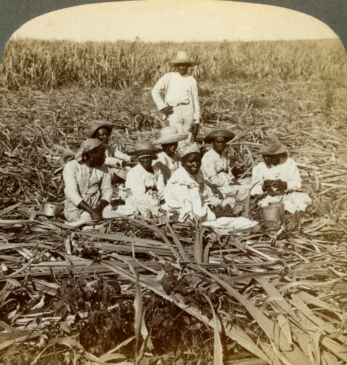 1899年，在古巴圣地亚哥省圣路易斯的拉联盟糖种植园上。 作者 安德伍德和安德伍德
