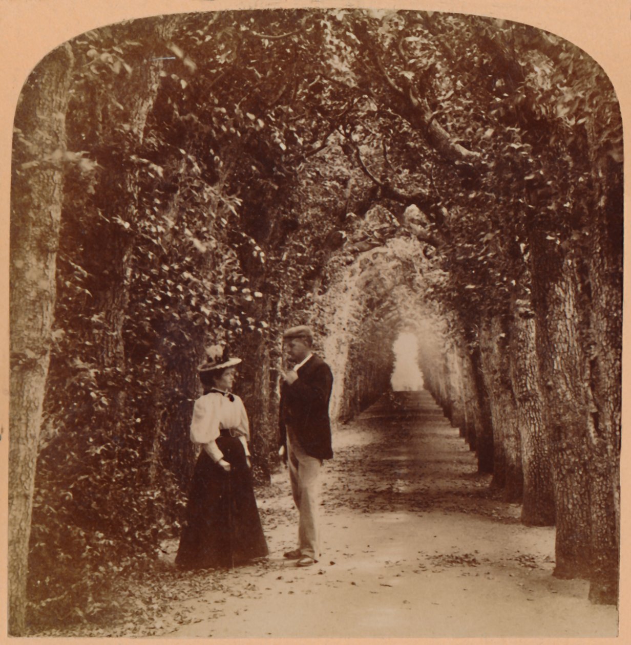 玛丽·鲍尔女王（Queen Marys Bower），汉普顿法院，英国伦敦，1896年。 作者 安德伍德和安德伍德