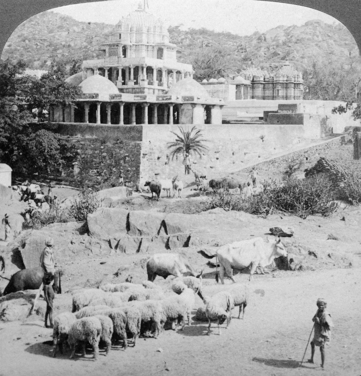ins那教的寺庙，印度阿布山，1902年。 作者 安德伍德和安德伍德