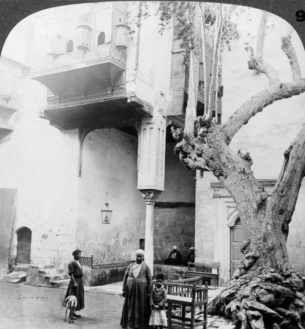 1905年，埃及开罗一间富裕的塞内恩人宫廷中的后宫窗户。 作者 安德伍德和安德伍德
