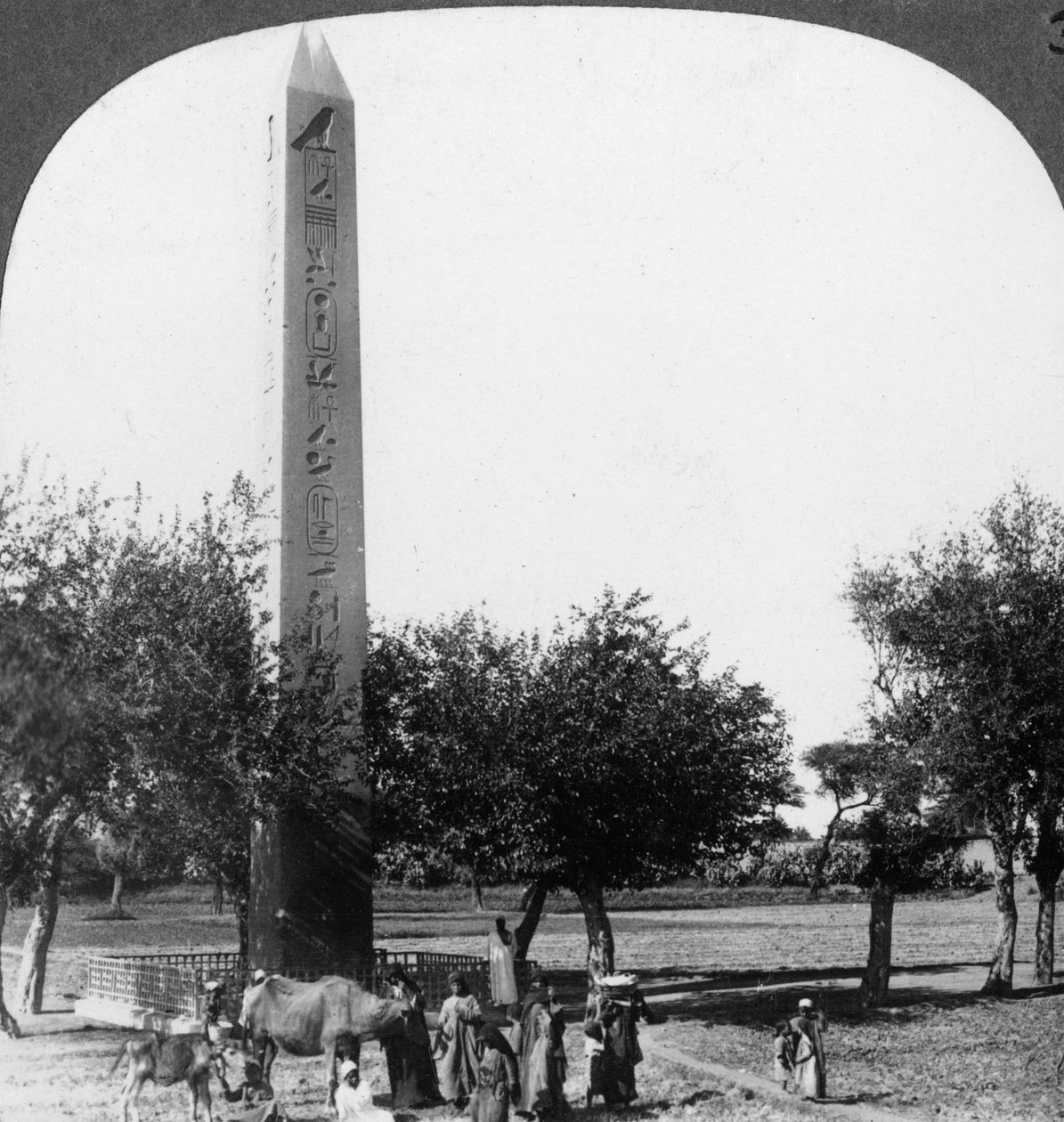 1905年，埃及赫利奥波利斯的方尖碑。 作者 安德伍德和安德伍德