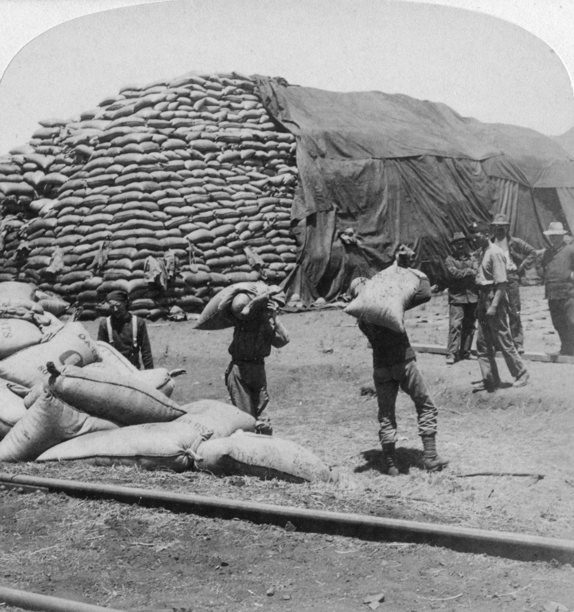 1900年，南非的De Aar，汤米（Tommys）忠实的朋友，一吨燕麦。 作者 安德伍德和安德伍德