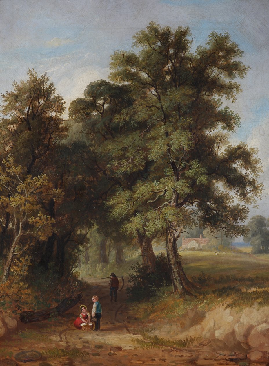 Bilford Lane，伍斯特，1848年 作者 未知未知