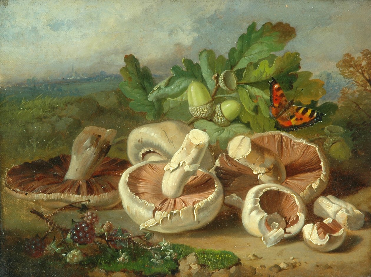 静物与蘑菇等，1859年 作者 不明