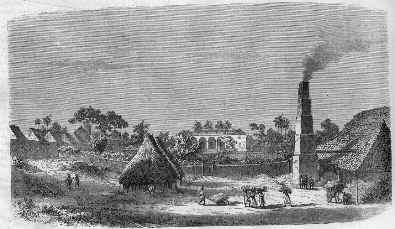 1869年，古巴岛上的一家糖果厂。 作者 未知艺术家