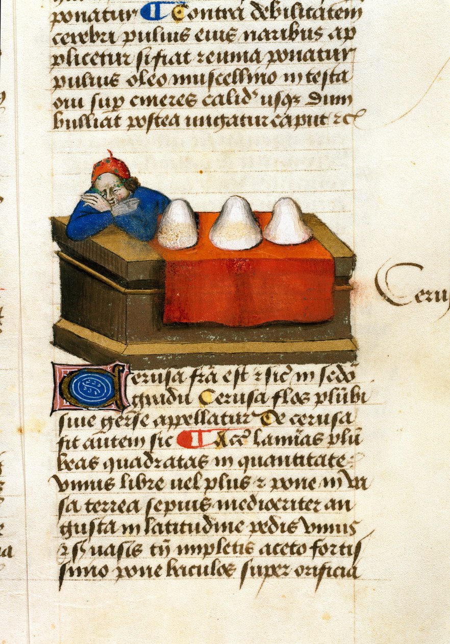 A deer trader, uses for cosmetics Description of medicinal plants and how to prepare them. Manuscript page “” Treats on herbs”” (Tractatus de herbis) by Pedanius Dioscorides (Dioscorides) (40-90 AD) Lat.1152 作者 未知艺术家