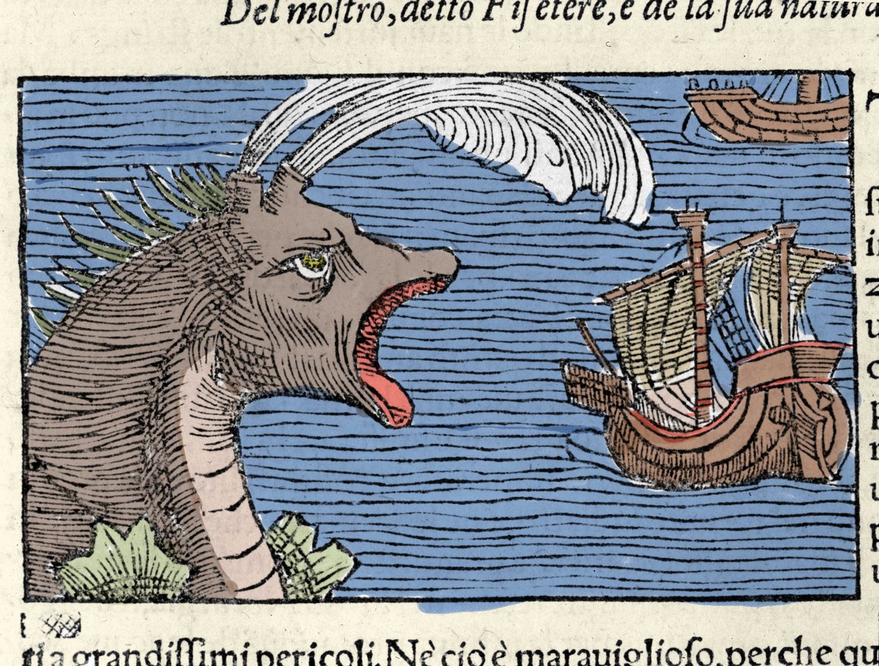 抹香鲸 (?) (physeter) 攻击一艘船。 Olaus Magnus (1490 - 1557) 雕刻，瑞典宗教和地理学家，“Historia de Gentis Septentrionalibus”，威尼斯 作者 未知艺术家
