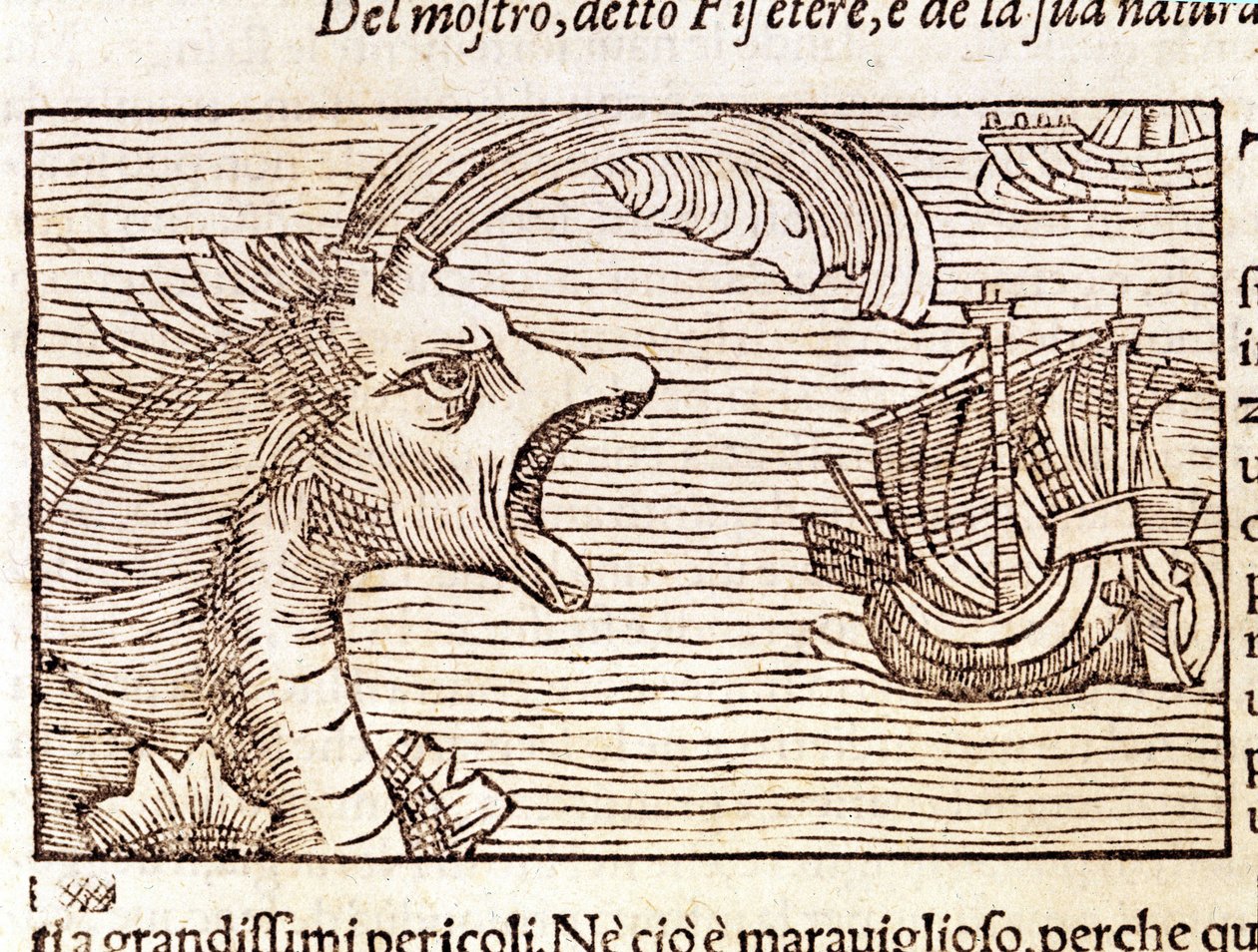 A sperm whale (?) (physeter) attacks a ship. Engraving by Olaus Magnus (1490 - 1557), Swedish religious and geographer, “Historia de Gentis Septentrionalibus”, Venice 作者 未知艺术家