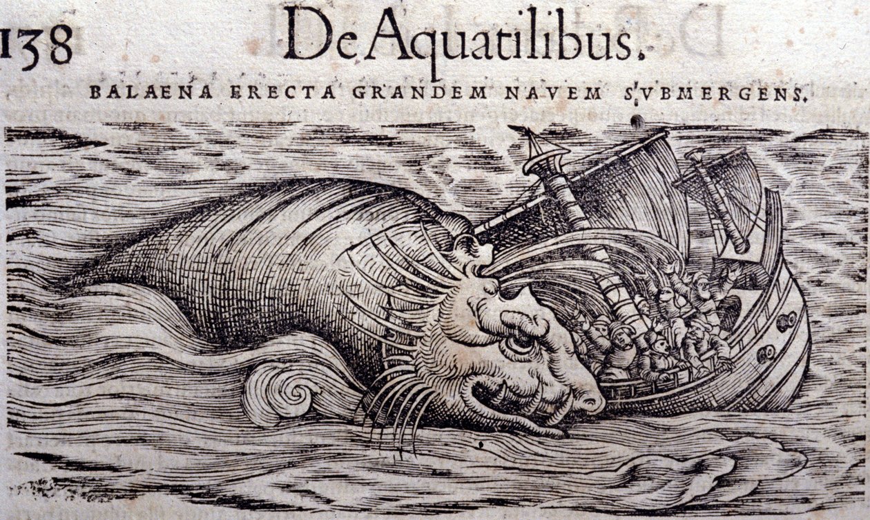 鲸鱼破坏了船体并导致其沉没。 雕刻 n Historia Animalium by Conrad Gesner (1516 - 1565)，提古里 作者 未知艺术家