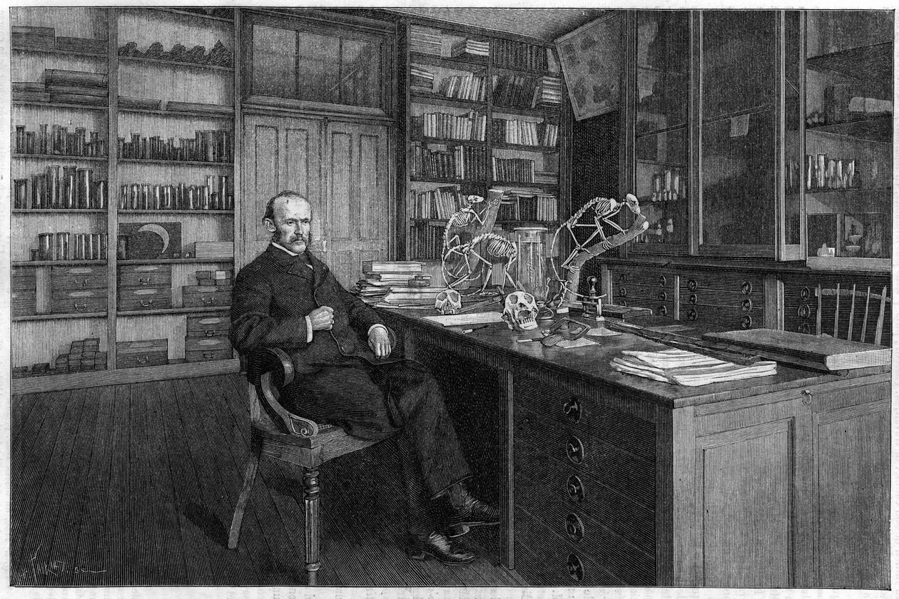 Alphonse Milne Edwards (米尔恩-爱德华兹) 作者 未知艺术家