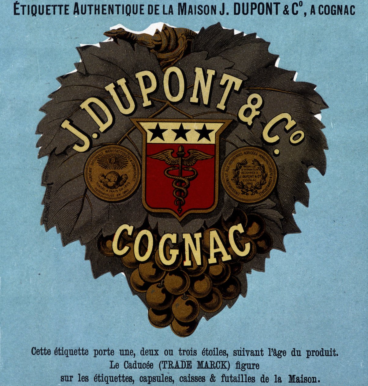 J. Dupont & C¡的真实标签，干邑。1882年版 作者 未知艺术家
