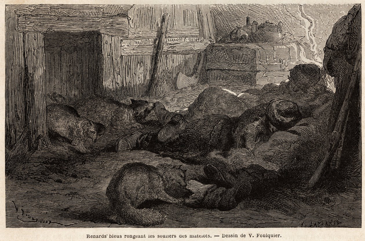 Blue foxes gnawing the shoes of seamen asleep in the refuge of the observation station, drawing by V.Foulquier, to illustrate the Spitzberg 作者 未知艺术家