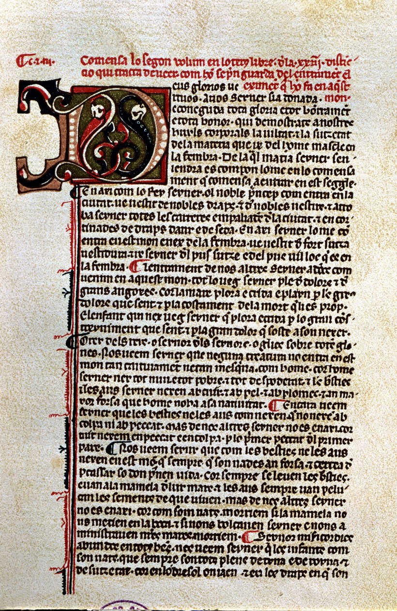  作者 未知艺术家