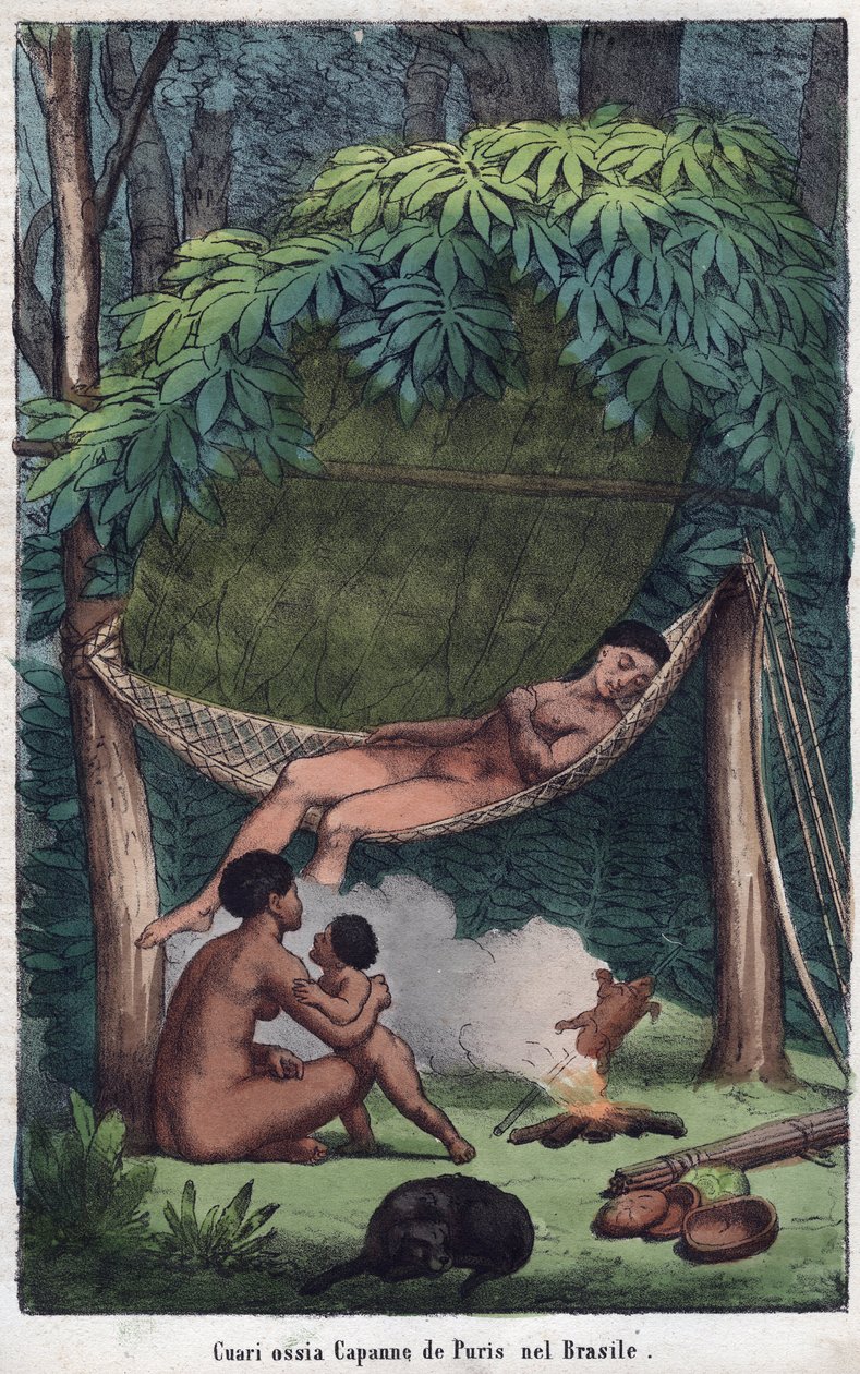 Cabane des Puris au Brazil--巴西的Puri小屋景观--来自 "宇宙中所有民族的用途和习俗 "的雕刻。从最遥远的时代到今天，所有国家的政府、法律、民兵和宗教的历史 作者 未知艺术家