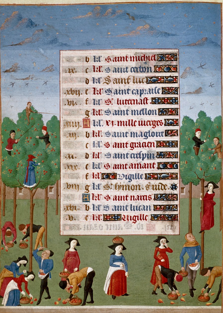 Calendar page for the month of October: “” Agricultural works, harvesting fruits””” Illuminated manuscript page from the “Book of Hours of the Duchess of Burgundy, Adelaide of Savoy”” Marie Adelaide of Savoy (1686-1712) is the wife of the dolphin Louis Duk 作者 未知艺术家