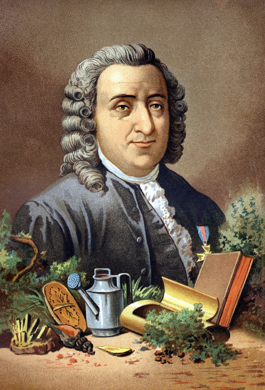 卡尔-冯-林内 瑞典自然学家和作家(1707 - 1778)在路易斯-菲吉埃的 "La Ciencia y sus Hombres "之后。巴塞罗那 1881年 作者 未知艺术家