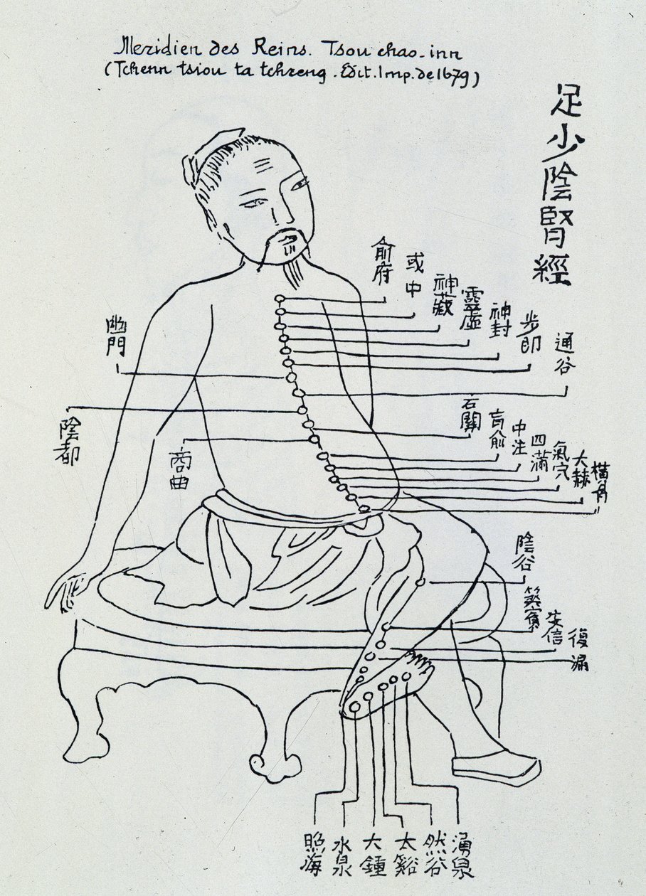 中医针灸：肾经 作者 未知艺术家