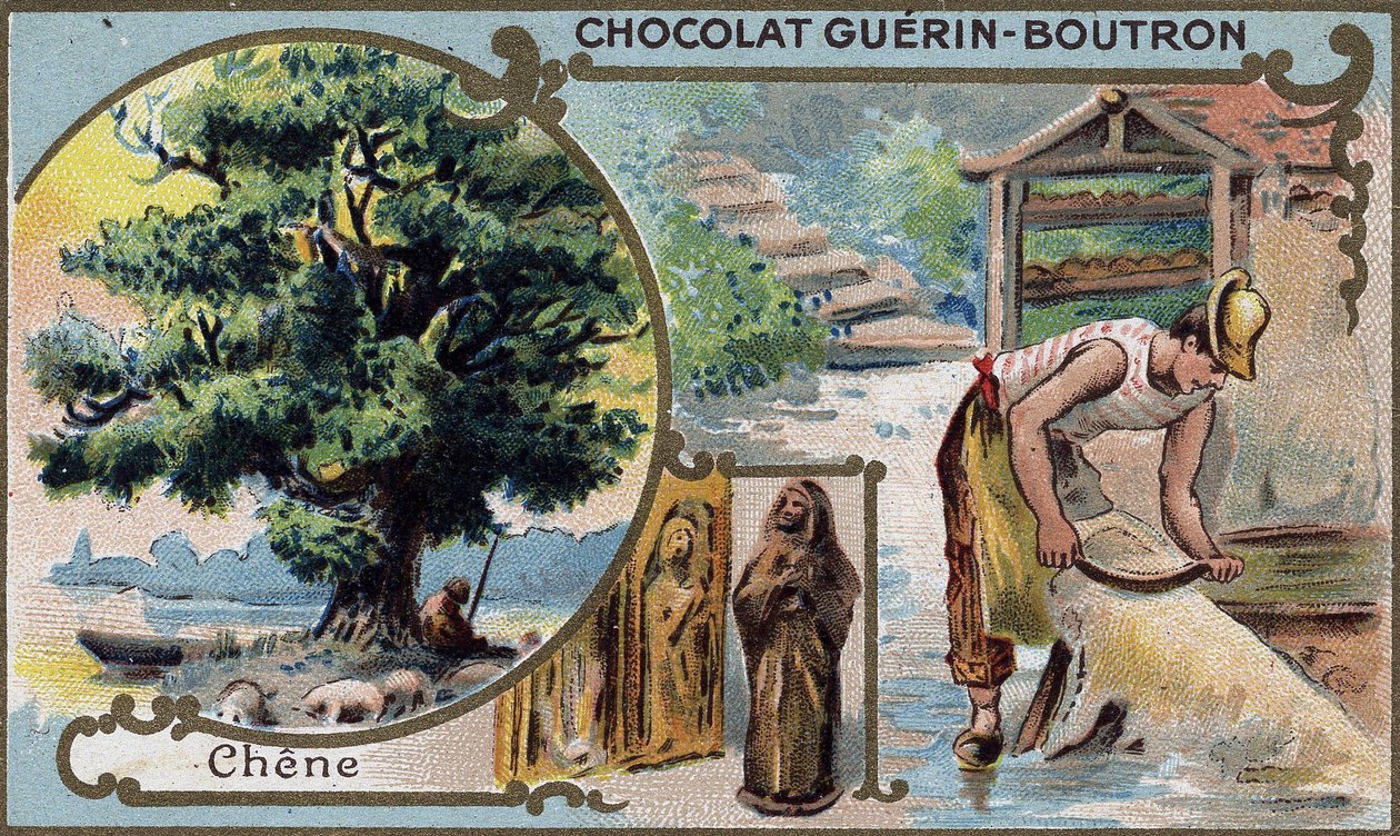 19世纪的Guérin Boutron巧克力的彩色石版印刷包装。 作者 未知艺术家