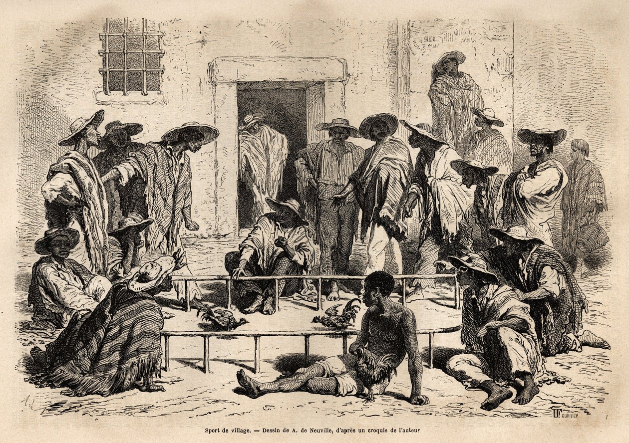 Cockfighting in the village of Marinilla (Magdalena region, Colombia), very popular sport, practiced in a small oblong arena, set up in the center of the courtyard in front of the houses, the roosters are trained to fight until the death, and betters and j 作者 未知艺术家