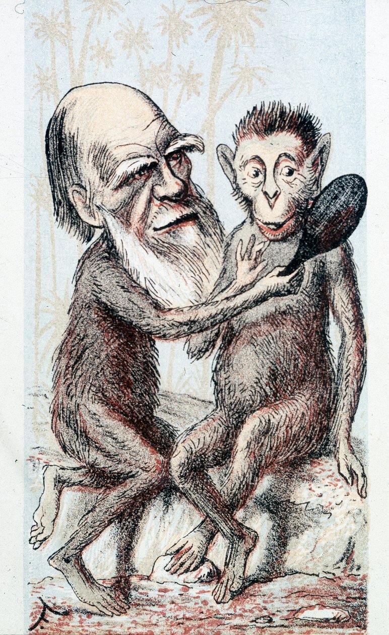 关于达尔文理论的喜剧画--载于 "伦敦素描本" 作者 未知艺术家