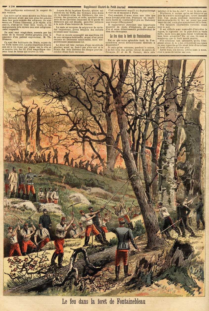 Criminal fire in the forest of Fontainebleau. Engraving in “” Le petit journal”” 22/04/1893. Selva