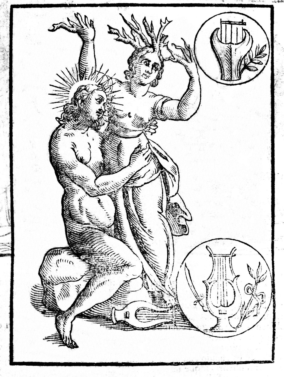 被阿波罗追求的达芙妮变成了月桂花--《Natalis Comitis》中的雕刻 "Mythologiae sive explicationis fabularum..."Patavia 作者 未知艺术家