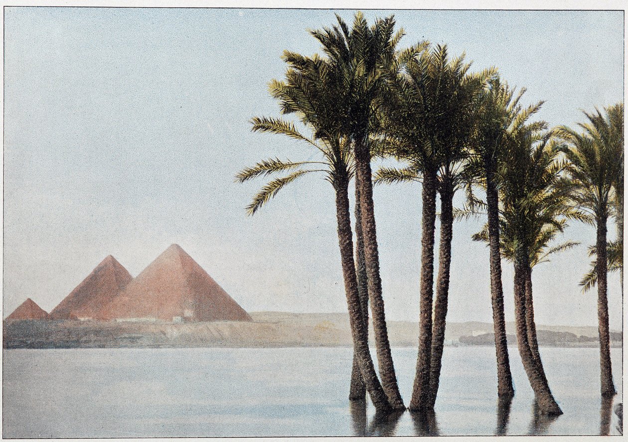 埃及：尼罗河洪水和吉萨金字塔（Gizeh，Gizeh，Giza）。 作者 未知艺术家