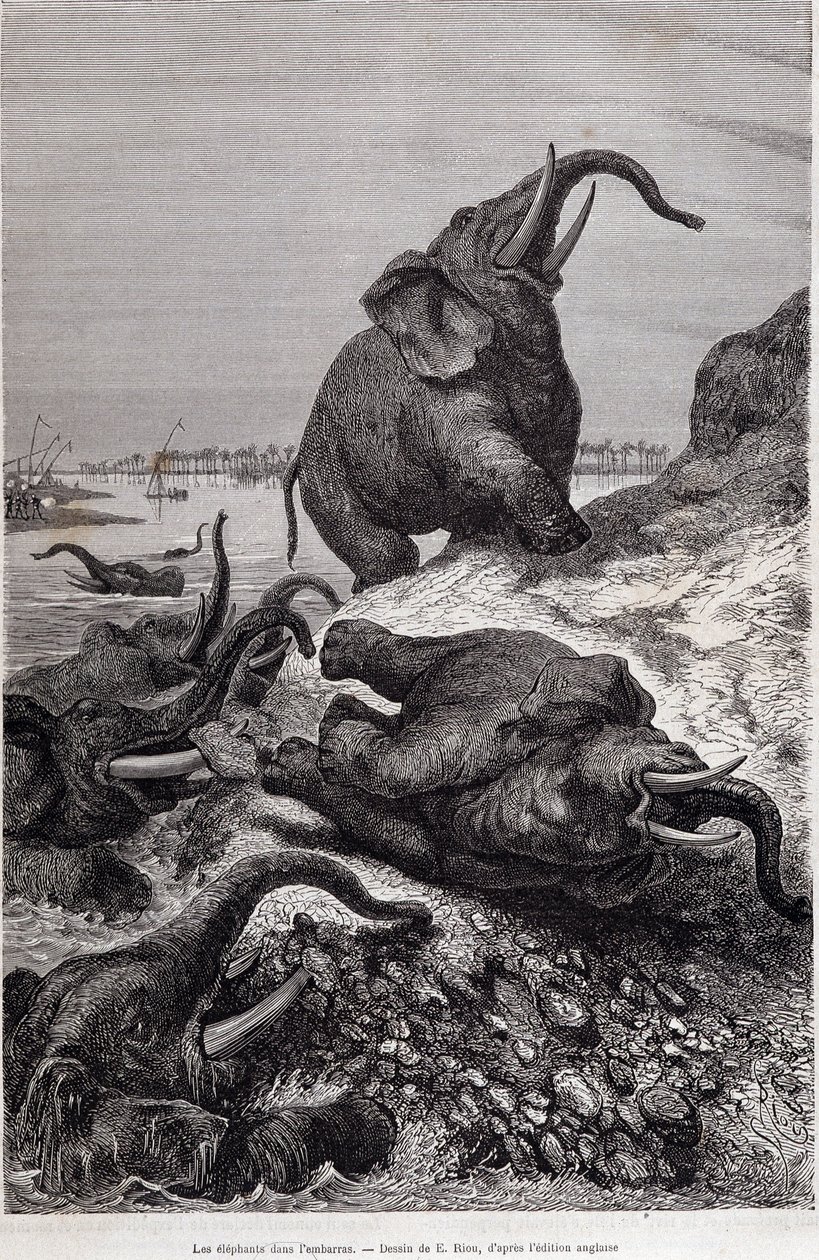 Elephants climbing the bank of a river, in account of an expedition to Central Africa commissioned by Sir Samuel White Baker, “Tour du monde” 作者 未知艺术家
