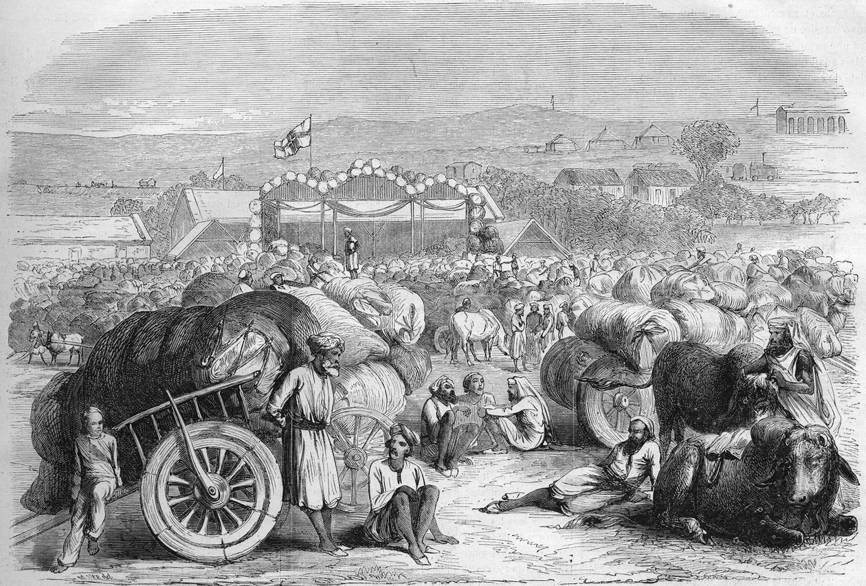 1872年的英属印度。Khangaon的棉花市场。 作者 未知艺术家