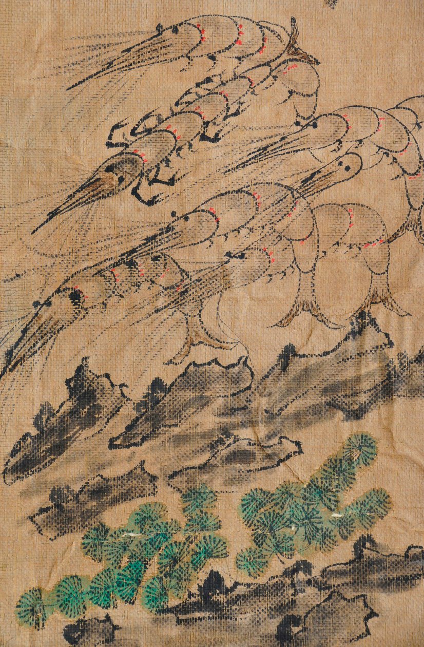 Eohaedo 作者 未知艺术家